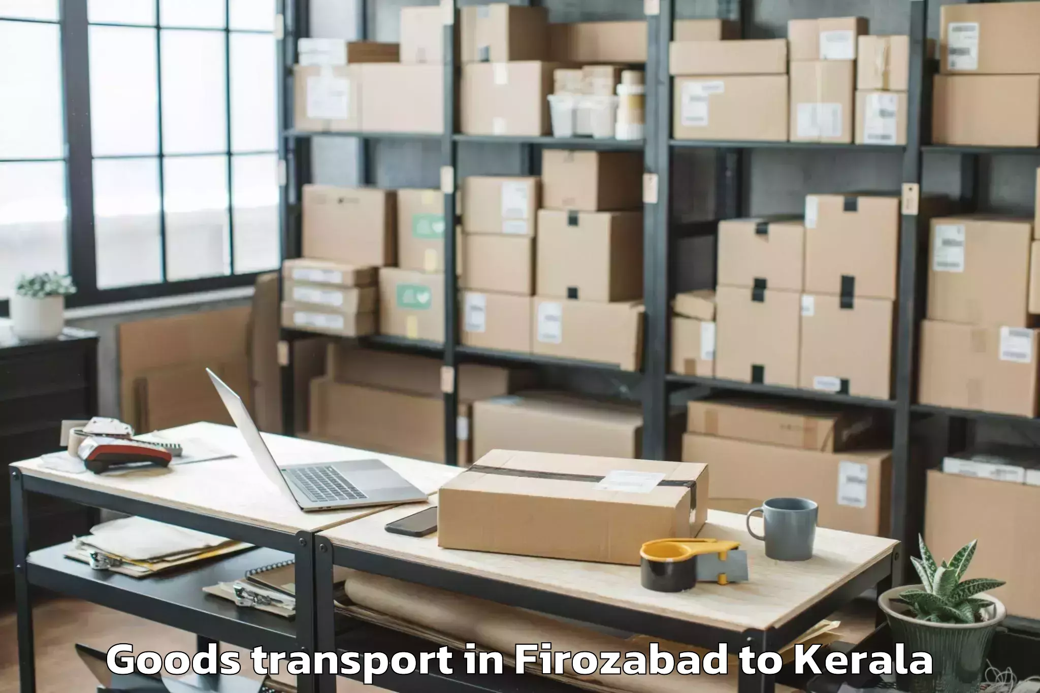 Expert Firozabad to Hala Mall Puthanathani Goods Transport